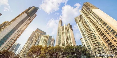 2021年中国各城市倒闭了多少家房地产企业