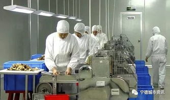 建设丨宁德古田5千万的凤都工业集中区食用菌精深加工项目将这样建