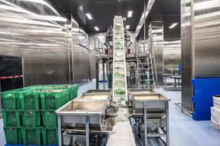 去趟阆中古城,揭晓让嘴巴去旅行背后的故事