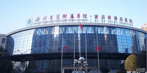 西安招商林屿缦岛 多维解析，揭秘主城宜居新标杆